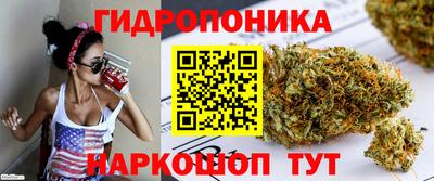 бошки Обь