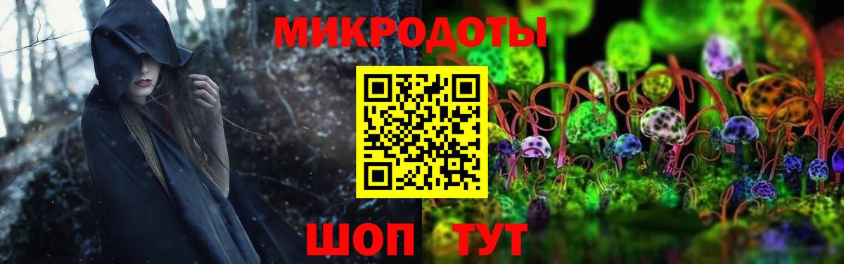 Галлюциногенные грибы Psilocybe Спасск-Дальний