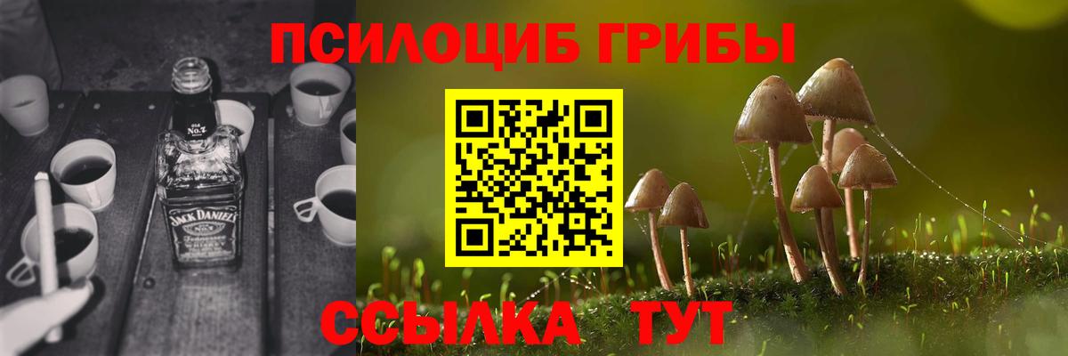 Спасск-Дальний  Галлюциногенные грибы Psilocybe  Вход с VPN 